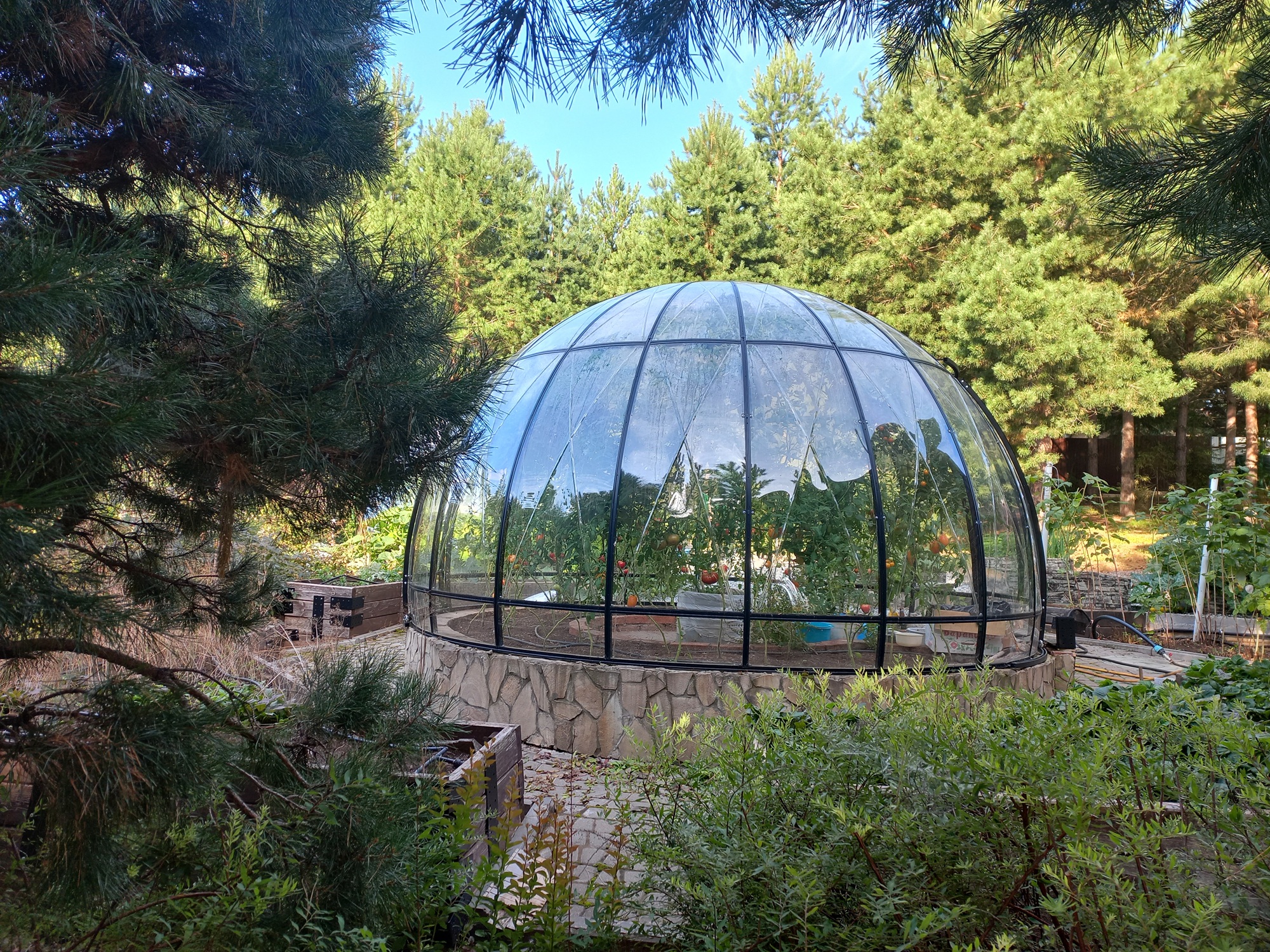 Купол SOL D = 4,5 м с прозрачным цоколем